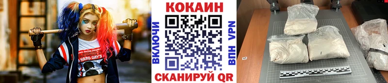 Cocaine FishScale  купить закладку  Богородицк 