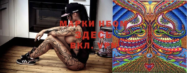 ешки Алексин