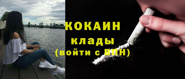 ешки Алексин