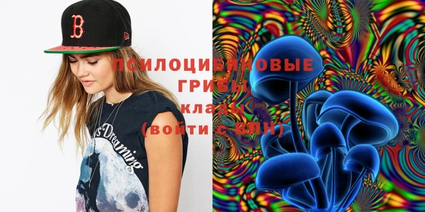 ешки Алексин