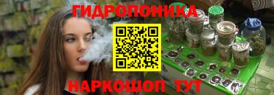 шишки Балашиха