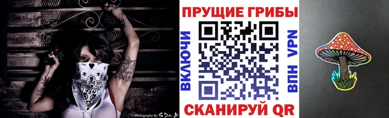 Псилоцибиновые грибы Magic Shrooms  как найти закладки  Богородицк 