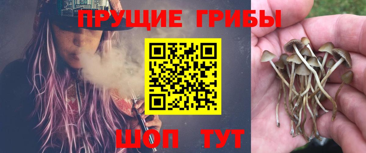 Галлюциногенные грибы Magic Shrooms  Вход с VPN  Псилоцибиновые грибы мицелий  Богородицк 